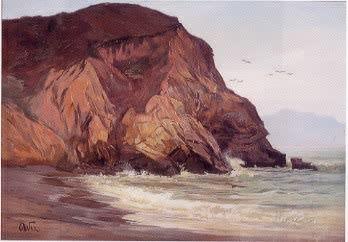Henry Otto Wix Rocky Coast with Birds oil painting image